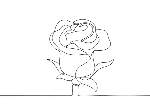 画的线是玫瑰花蕾 世界玫瑰日 不同用途的单行绘图 矢量说明 — 图库矢量图片