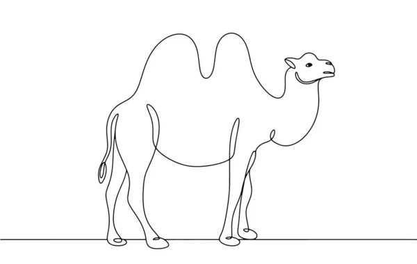 Camel Two Humps Camel Breeding One Line Drawing Different Uses — Stock Vector