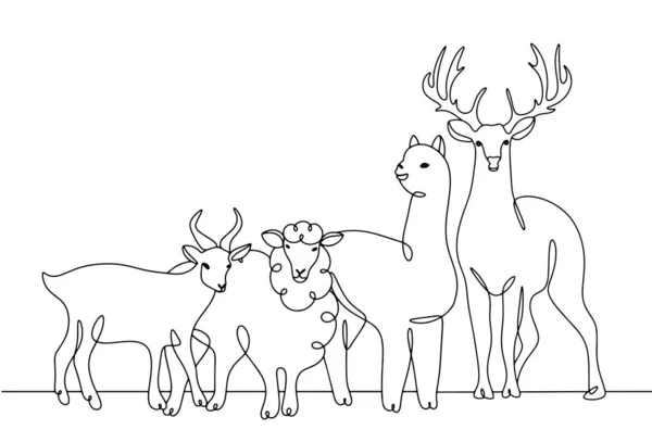 Goat Sheep Alpaca Deer Farm Animals Breeding Animals World Farm — Stock Vector