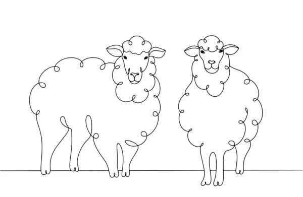 Pair Sheep Farm Animal Sheep Breeding World Farm Animals Day — Stock Vector