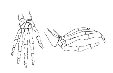 İnsan elinin kemikleri. Elin anatomik yapısı. Kemik ve Ortak Eylem Haftası. Farklı kullanım alanları için bir çizgi. Vektör illüstrasyonu.