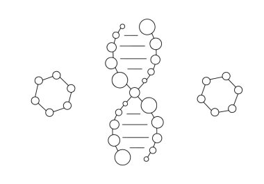 Yanlarda DNA elementi ve molekülleri var. Dünya Bilim Günü. Farklı kullanım alanları için bir çizgi. Vektör illüstrasyonu.