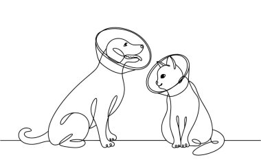 Veteriner tasmalı kedi ve köpek. Evcil hayvan bakımı ve bakımı. Hayvanın hareketlerinin geçici olarak kısıtlanması. Herhangi bir aşamada herhangi bir yapay zeka yazılımı kullanılmadan üretilen resimler. 