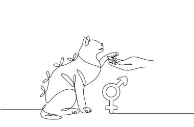 Kedilerin kısırlaştırılması. İyileşme giysisi içindeki bir kedi ameliyattan sonra sahibine patisini verir. Evcil hayvanının sağlığıyla ilgileniyorsun. Herhangi bir aşamada herhangi bir yapay zeka yazılımı kullanılmadan üretilen resimler. 