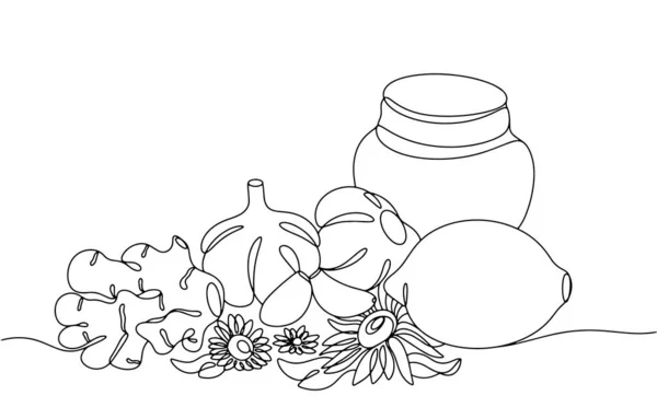 Popular Natural Immunomodulating Agents Honey Chamomile Echinacea Ginger Lemon Garlic — Stock Vector