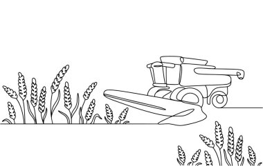 Bir biçerdöver tarlada buğday hasat eder. Tarım işi. Tahıl tarlası. Vektör çizimi. Herhangi bir aşamada herhangi bir yapay zeka yazılımı kullanılmadan üretilen resimler. 