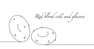 Red blood cells with glucose. Glycated hemoglobin. A simple hand drawn illustration on a medical theme. Vector. clipart