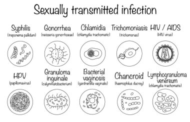 Cinsel yolla bulaşan hastalıkların ana patojenleri. Farklı kullanım türleri için tıbbi vektör.