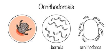 Tehlikeli patojenler taşıyan kene ısırıklarının yol açtığı bir hastalık. Meitsin illüstrasyonu, hastalığı ve hastalığın nedensel faktörünü ileten bir kene ile. İzole vektör. 