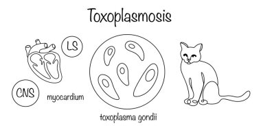 Sinir, lenf sistemi ve miyokardiyumu etkileyen asalak bir hastalık. Hastalığın nedensel faktörü ve kaynağı enfeksiyon kapmış bir kedi. Toksoplazmoz. 