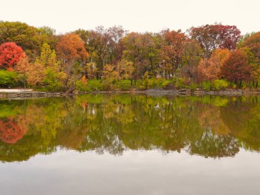 Amazing Fall Foliage of Various Trees Reflected in the Lake in October