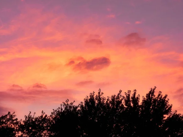 stock image Glorious Red and Orange Sunset Above the Trees During Fall