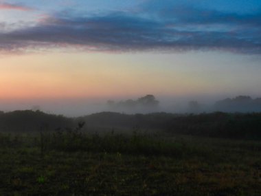 Misty ve Foggy Morning on the Prairie in the Late Summer August
