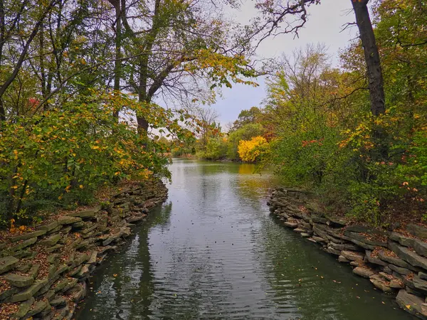 Fall Leaves on the Trees that Line the Banks of a River