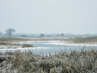Ocak 'ta Çayırda Donmuş Göl