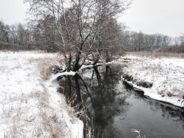 Ocak 'ta Karla Kaplanmış Akan Nehir
