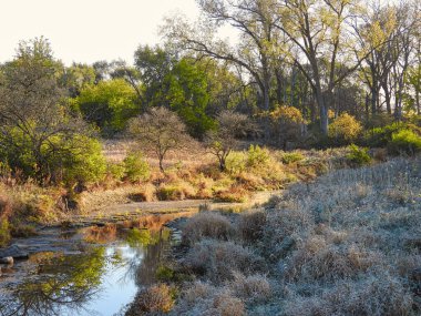 Sersemletici Sonbahar Renkli Ağaçların Parlak Mavi Gökyüzü Durgun Suda Yansıyan Bulutlar Sakin Ekim Sahnesi