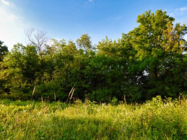 Yazın bozkırda gün doğumu
