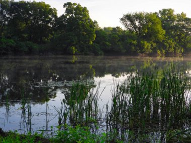 Sisli Göl 'ün Üzerinde Gündoğumu Bir Yaz Günü Ormanıyla çevrili
