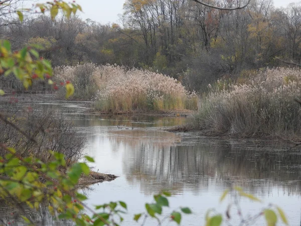 秋天的Tranquil河风景景观 — 图库照片