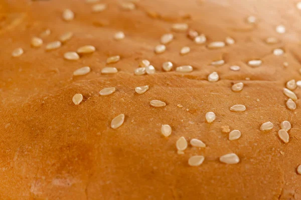 Close of upper part of the hamburger bun with sesame seeds on it. Used selective focus.