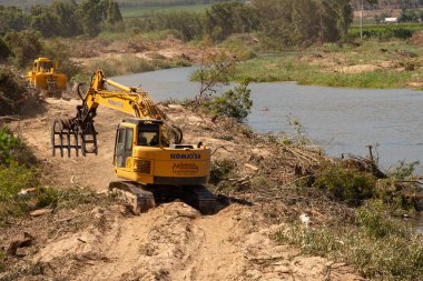 Robertson, Western Cape, South Africa. 2023. Contractor  removing Eucalyptus trees from the riverbank along the Breede River to save water.