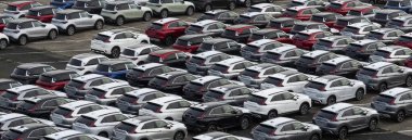 Zeebrugge Belçika Avrupa. 21.12.2024. İhracat ve ithalat için rıhtıma park edilmiş yeni arabalar. motor ticareti.