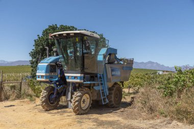 Riebeek West, Batı Burnu, Güney Afrika. 27 yaşında. 02 numara. 2024. Güney Afrika 'nın Swartland bölgesinde bir üzüm bağında üzüm toplama makinesi..