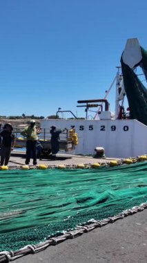 Yzerfontain Batı Güney Afrika Burnu. 07.02.2024. Devekuşu ailesi bahçe duvarının üstünden bakmaya çalışıyor. Yzerfontain 'de konut.