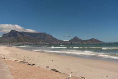 Cape Town Güney Afrika. 23.12.2024. Cape Town ve Table Dağı, The Lions Head ve Signal Hill.