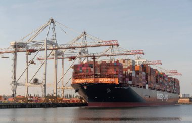 İngiltere Southampton 'da. 28.04.2025. Hanoi Ekspres konteynır gemisi ve rıhtım vinçleri, Southampton 'daki konteynır gemileri için DP World terminalinin yanında..