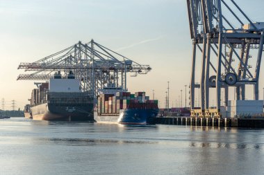 İngiltere Southampton 'da. 28.04.2025. Konteynır gemileri ve rıhtım vinçleri, Southampton 'daki konteynır gemileri için DP World terminalinin yanında..