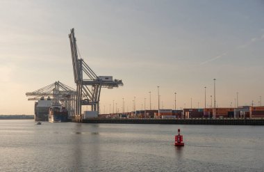 İngiltere Southampton 'da. 28.04.2025. Konteynır gemileri, Southampton 'daki konteynır gemileri için DP World terminalinin yanındaki rıhtım vinçleri ile birlikte.