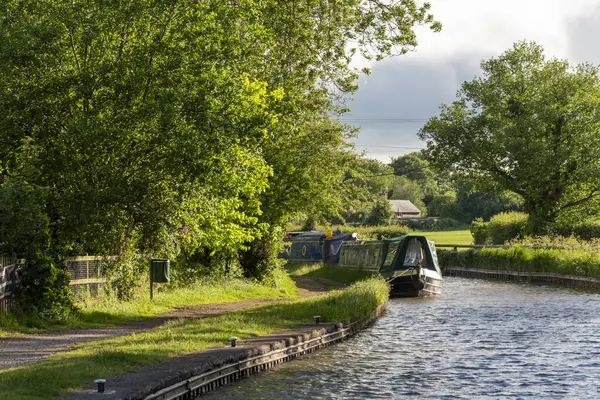 Llangollen Kanalı Wrenbury Güney Cheshire İngiltere. 29.05.2025. Dar kayık Wrenbury 'nin güney Cheshire İngiltere' sindeki Llangollen Kanalı 'na yanaştı..