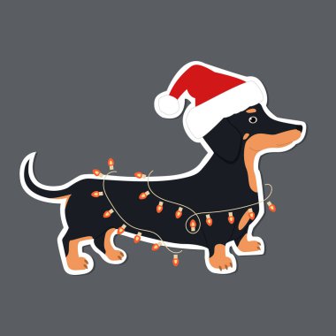Dachshund bir Noel çelengine takıldı. Güzel el çizimi çıkartması çizimi.