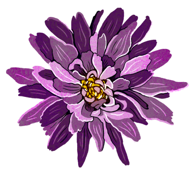 Mor Grafik Yıldız Çiçeği