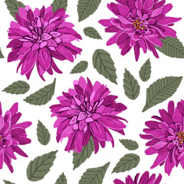 Beyaz arka planda kusursuz mor yıldız çiçeği deseni. Vektör el çizimi illüstrasyon. Kumaşlar, duvar kağıtları, ambalaj kağıtları, çarşaflar için..