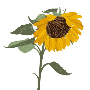 El yapımı ayçiçeği. Vektör modern düz resimleme.