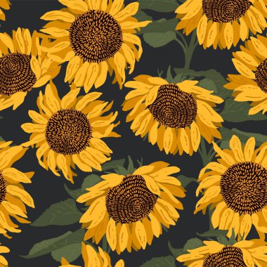 Çiçeksiz desen. Gri arka planda açan sarı ayçiçekleri. Modern vektör illüstrasyonu.