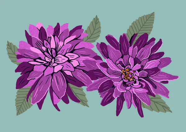 Purple graphic dahlia flowers. Modern flat fashion illustration.