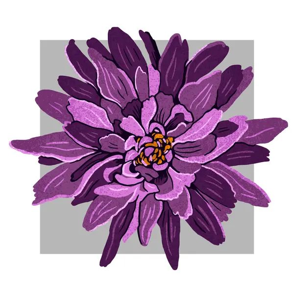 Purple hand drawn dahlia flower. Modern flat fashion vector illustration.