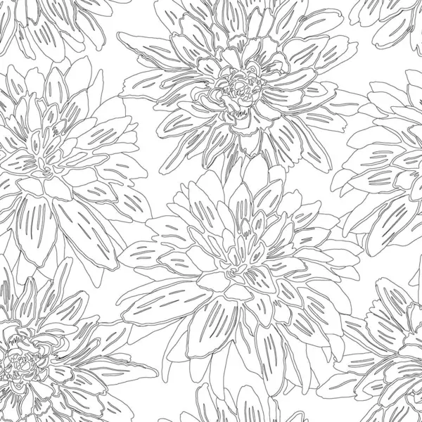 Grafik el çizimi yıldız çiçekleri ile kusursuz desen. Vektör siyah ve beyaz modern taslak çizimi.