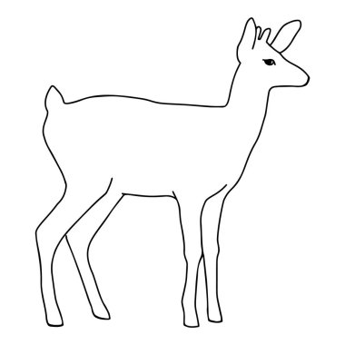 Geyik simgesi. Ağ için geyik vektör simgesinin özet çizimi