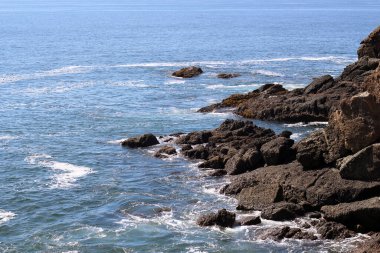 Pasifik Okyanusunun kayalık kıyıları.
