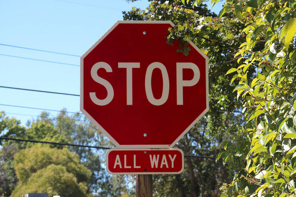 Road sign STOP close-up against blue sky and green leaves. Photo on a sunny day