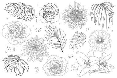 Gül, zambak, ayçiçeği ve tropikal yapraklar gibi el yapımı çiçek ve yaprak elementleri içeren büyük bir set. Botanik tasarımlar, boyama kitapları veya dekoratif projeler için ideal.