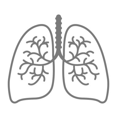 Bronşiyal yapısı olan insan akciğerlerinin en az çizgili sanat simgesi. Tıbbi, sağlık, solunum veya eğitim projeleri için basit anatomik çizimler.