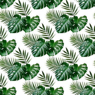 Beyaz arka planda kusursuz tropikal desen. Canavar Yaprakları. Kumaş, duvar kağıdı ve diğer promosyon materyalleri için kusursuz baskı.