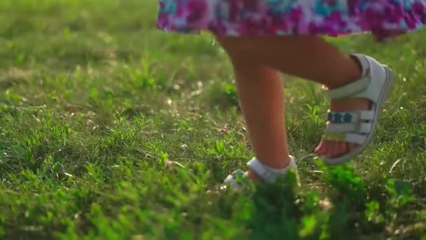 Dziecięce Stopy Stąpające Zielonej Trawie Polanie Szczęśliwe Dzieciństwo Spacerze Słoneczną — Wideo stockowe