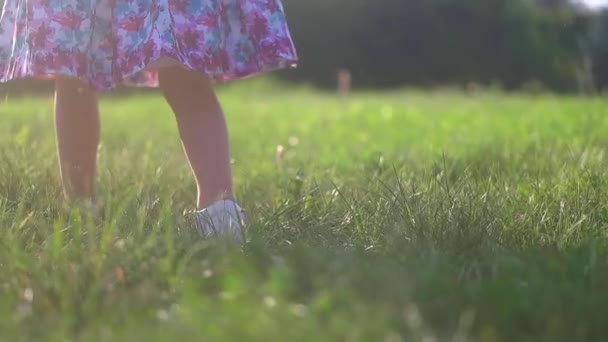 阳光灿烂的天气 小女孩穿着凉鞋在绿草上散步 脚步声和阳光在镜框里 慢动作 — 图库视频影像
